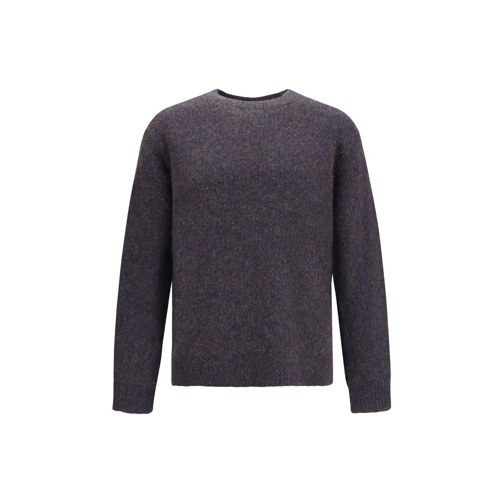 Sunflower Brown Alpaca Vicugna Pacos Sweatshirt