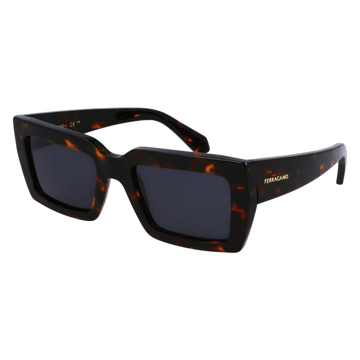 Ferragamo Brown Acetate Sunglasses