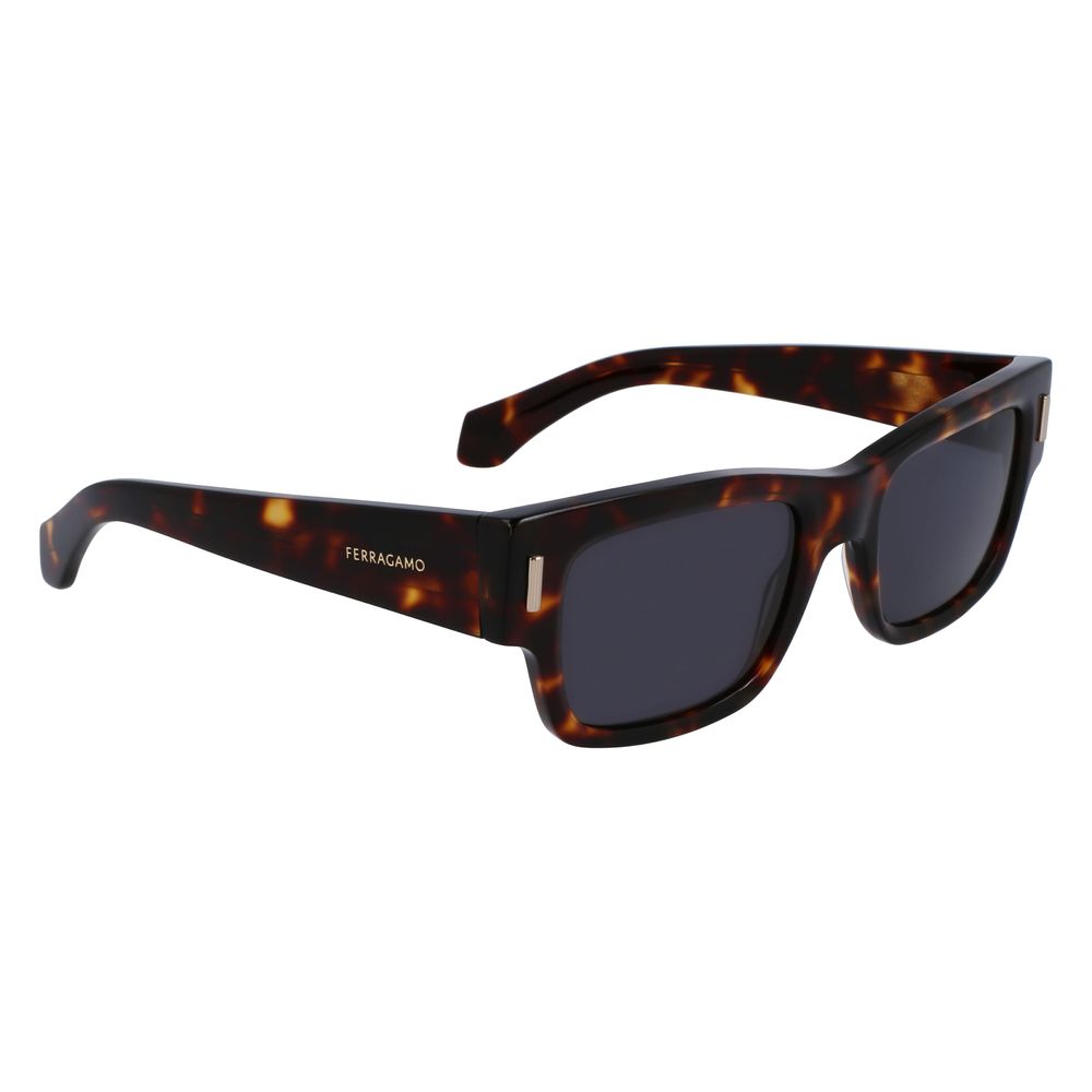 Ferragamo Brown Acetate Sunglasses